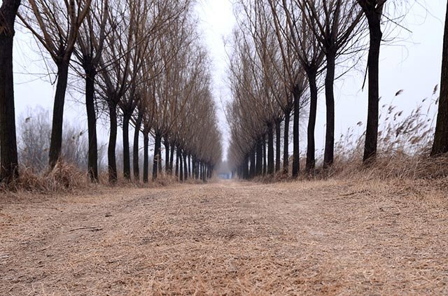 70后知识分子回老家建房,中国文化的一种转向
