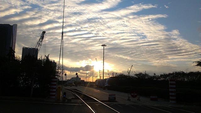 过节回家需要哪一种指南？