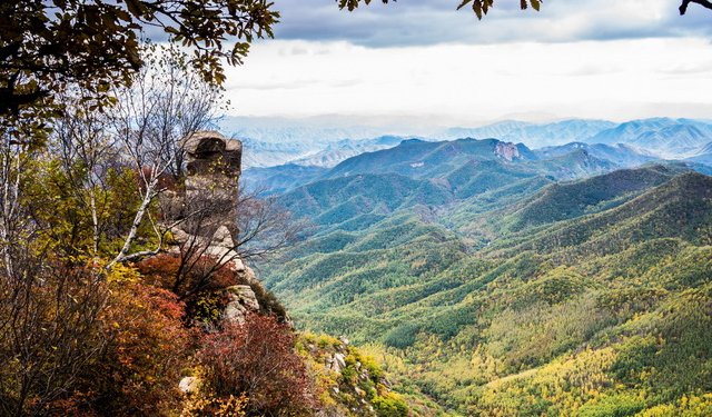 杏花姑娘和被巨豹嚇尿的少年
