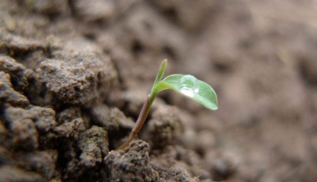 每一个平凡人都有一颗不平凡的心