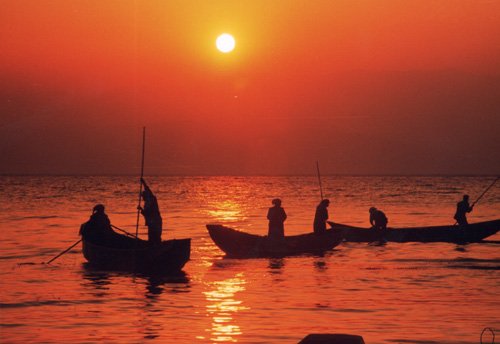 云南的巴马 在大理寻找养生好盘_频道-大理