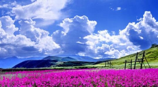 西藏新疆香格里拉 盘六月中国十个最美的地方