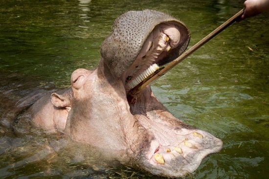 在大理月薪5000啥概念?攒25年才够讨媳妇_频