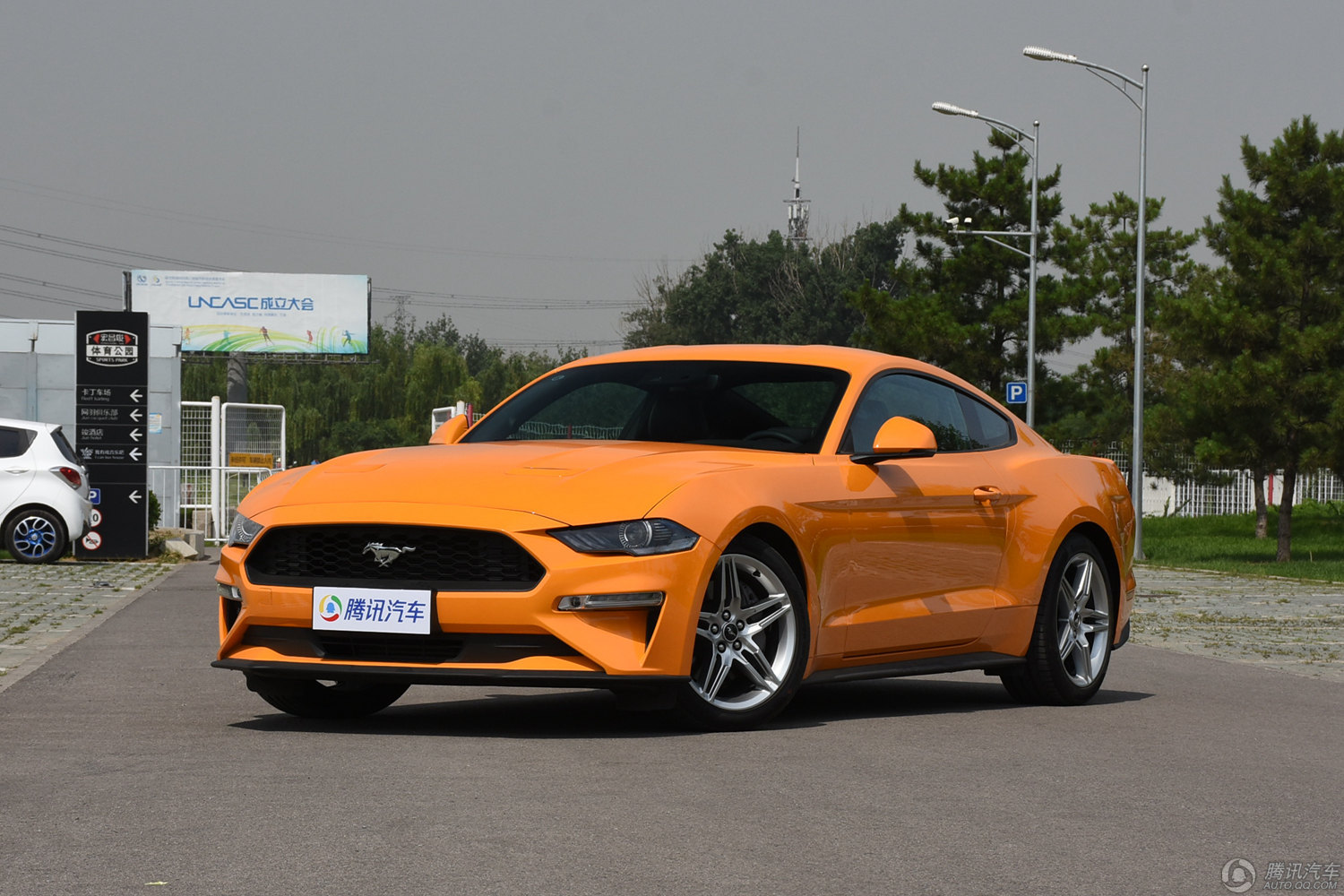 Mustang