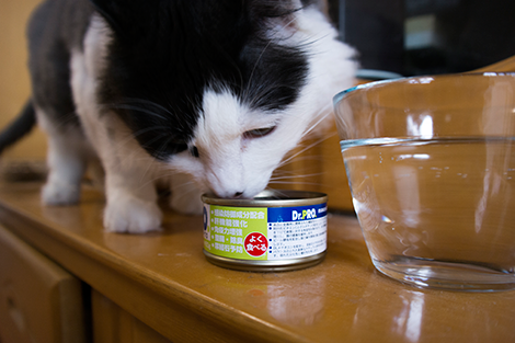 三星NX300智能相机高速连拍功能体验