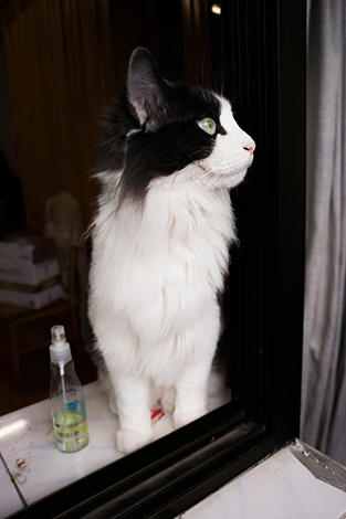 三星NX300智能相机高速连拍功能体验