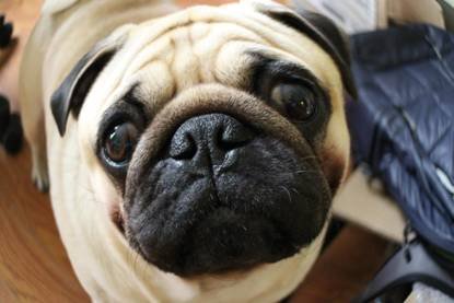 佳能首款微单eos+m评测