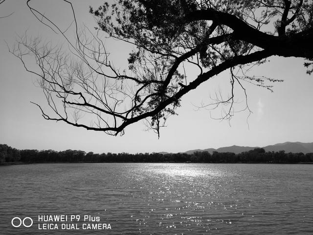 ��ΪP9 Plus���⣺���ܸ�����/���ָ�ȫ��