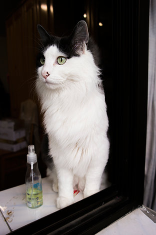 三星NX300智能相机高速连拍功能体验