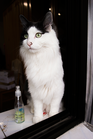 三星NX300智能相机高速连拍功能体验