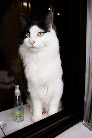 三星NX300智能相机高速连拍功能体验