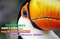 �����ڣ�����Ĵ���Ȼ