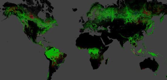 谷歌新地图上线:全球森林砍伐情况一目了然