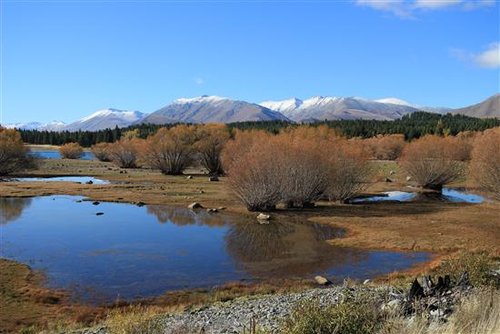 佳能e0s-m对比nex-5n\/gx1 微单大比拼