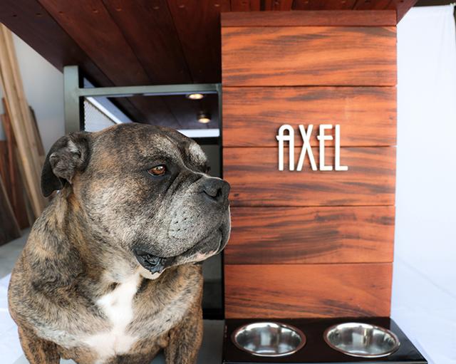 金窝银窝不如狗窝 看完这个你就信了