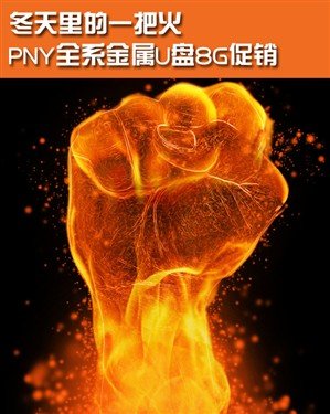 冬天里的一把火 pny全系金属u盘8g促销