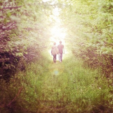 情不知所起一往情深,情不知所往一如既往_数码