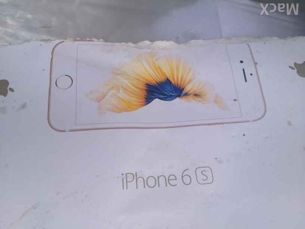 苹果,iPhone 6s,iPhone 6s玫瑰金,iPhone 6s发布时间,iPhone 6s多少钱