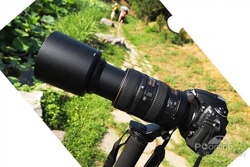 自动对焦牛头 尼康nikkor 80-400mm破万