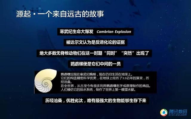 我们为什么要做寒武计划？