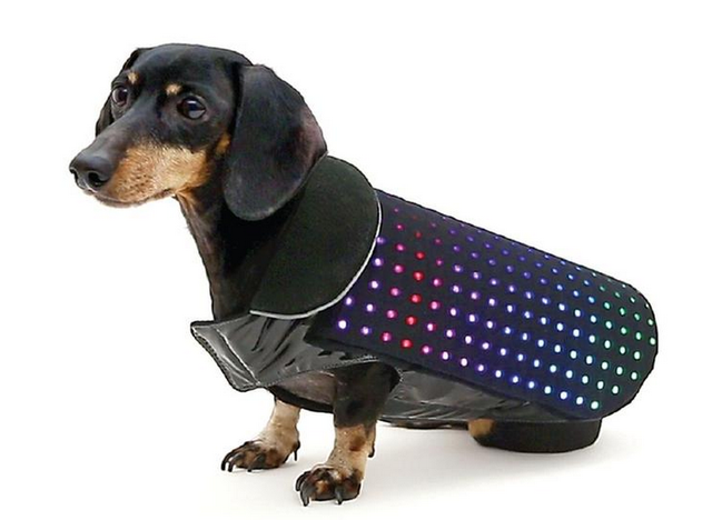 3s Market 全球智慧科技應用 市場資訊網 Disco Dog 給狗狗穿的炫酷led 馬甲