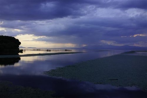 索尼全画幅相机rx1样片 iso6400可用