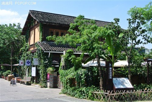 尼康v1微单相机试用体验