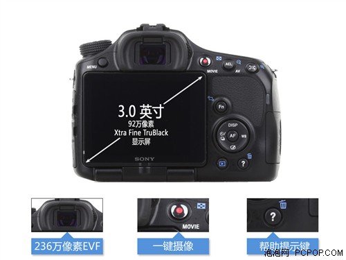 超值相机任你选 多款入门单反机推荐