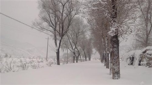 延庆成灾区 实拍北京11月4日特大暴雪