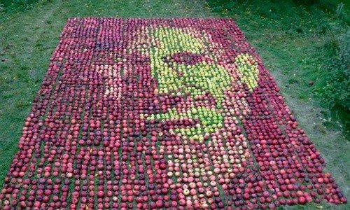 艺术家的创意 3750个苹果纪念乔布斯