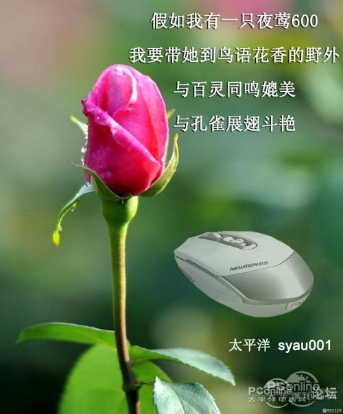 网友hold不住夜莺v网友难挡黑科技摄像头象少钱图片