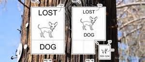 �ȸ衰��˺����ר���ع� Ҫ����Ļ�������