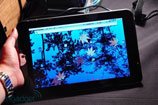 ��֥չʾAndroidƽ��