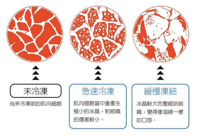 罐装可乐为什么不能冷冻？冰箱使用十问十答