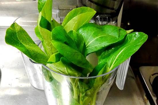 令人感动的蔬果榨汁机：夏普EJ-CP10B试用报告