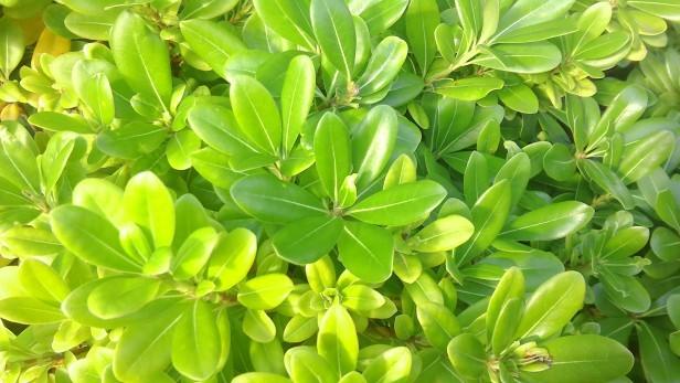 ��˶ZenPad S 8.0���Լ۱ȳ�ɫ����һ��