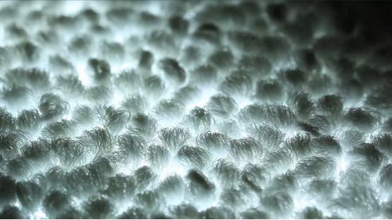 飞利浦推出LED地毯 内部集成一层超薄灯