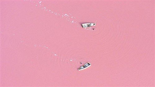 大自然的奇观:西非塞内加尔粉色湖水