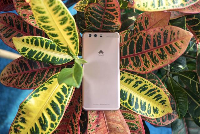 【搞机番外篇】华为P10评测 拍照真超越iPhone 7了