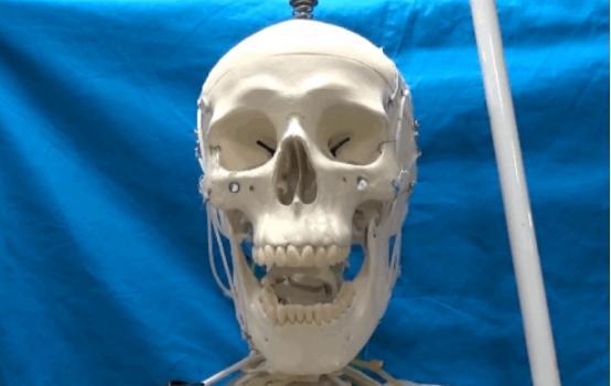 吓死宝宝了 日本研究者展示能走路的机械骨架
