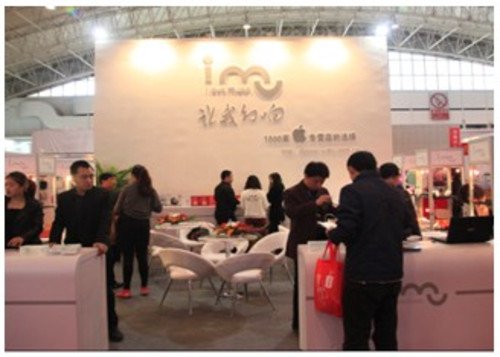 �������2015���й���Ʒ����չ