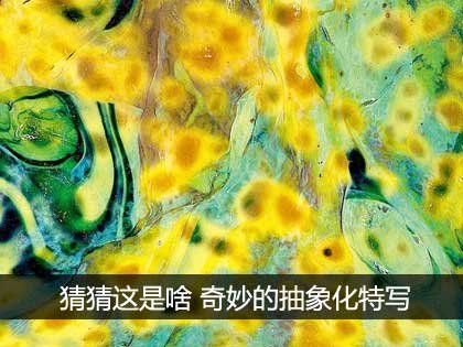 HD는 : 그것은 한 놀라운 추상 클로즈업 무엇인지 맞춰보세요