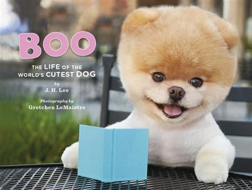 kardashian在博客中称boo是世界上最可爱的小狗