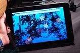 ��֥չʾAndroidƽ��