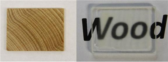 科学家研制木质玻璃 比普通玻璃还坚固
