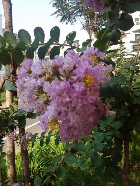 三星GALAXY tab 3 T210评测 简单的7英寸平板