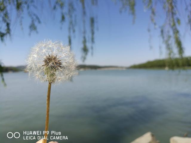 ��ΪP9 Plus���⣺���ܸ�����/���ָ�ȫ��