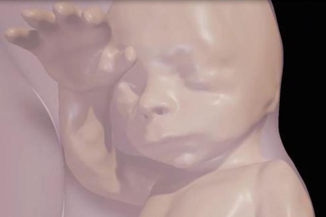 VR技术再颠覆:让孕妈提前与肚子里的宝宝见面