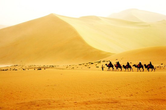 金石滩华夏文化博物馆开馆 石佛收藏震撼游客