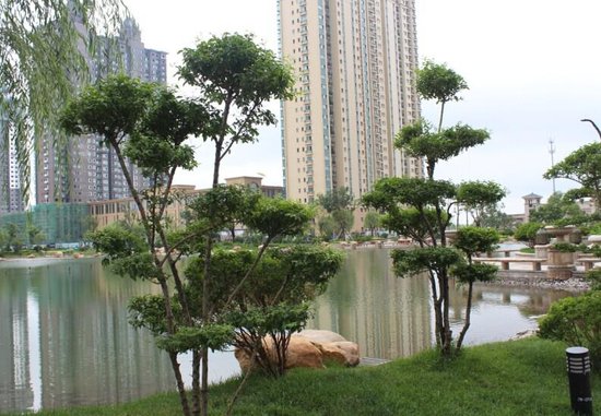 恒大黄河生态城 油城首席名门大城